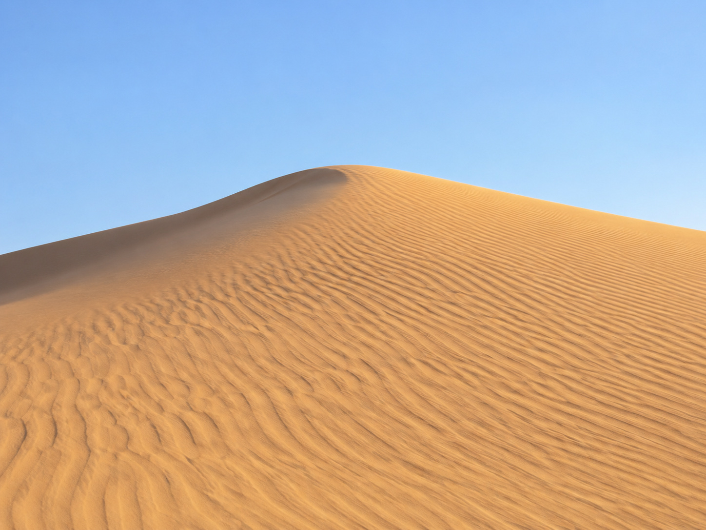 رمل الشاطئ